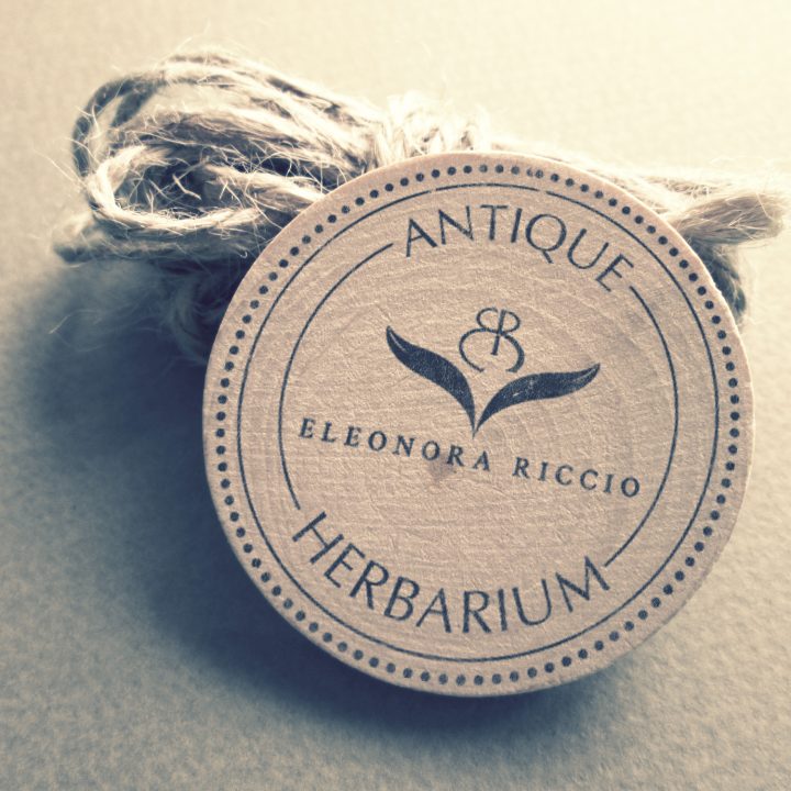 Vintage Logo Mock Up GB